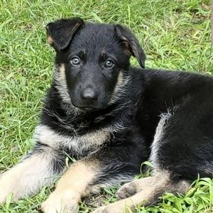 Meet your Posher, Michele